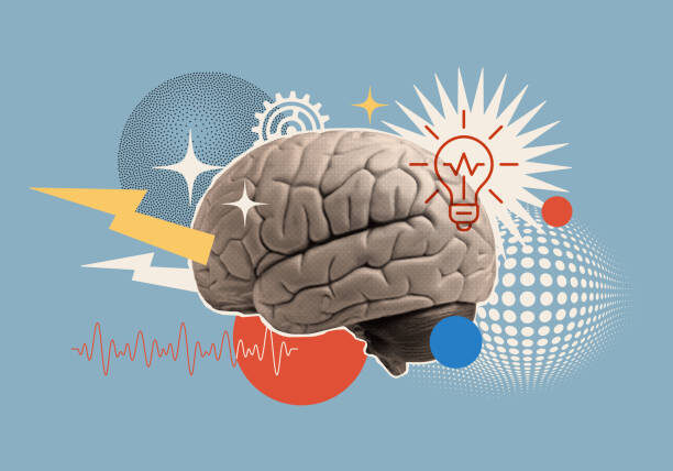 Раскрыт секрет когнитивного долголетия долгожителей