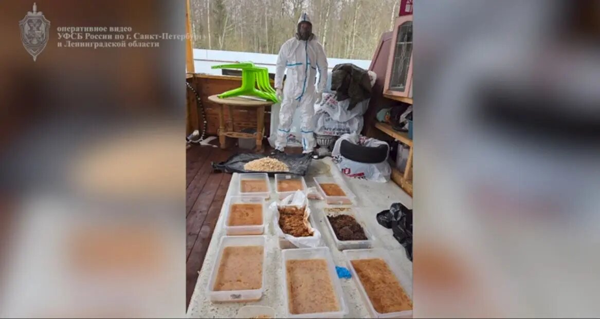    Фото: кадр видео УФСБ по Петербургу и Ленобласти