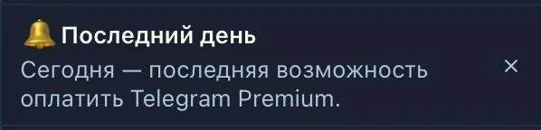 Фото: Вести