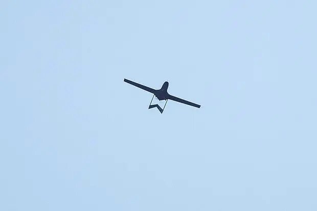    Источник: lenta.ru/ Ольга Селиванова