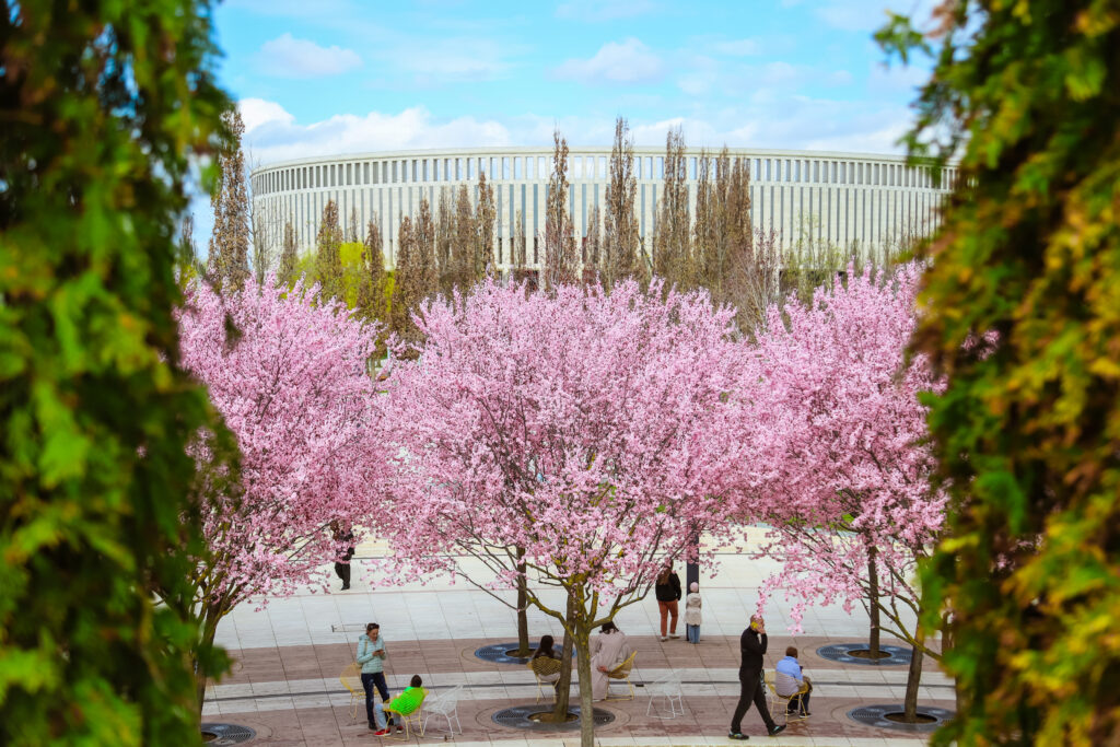   Фото: Варвара Вострокнутова, «КИ»