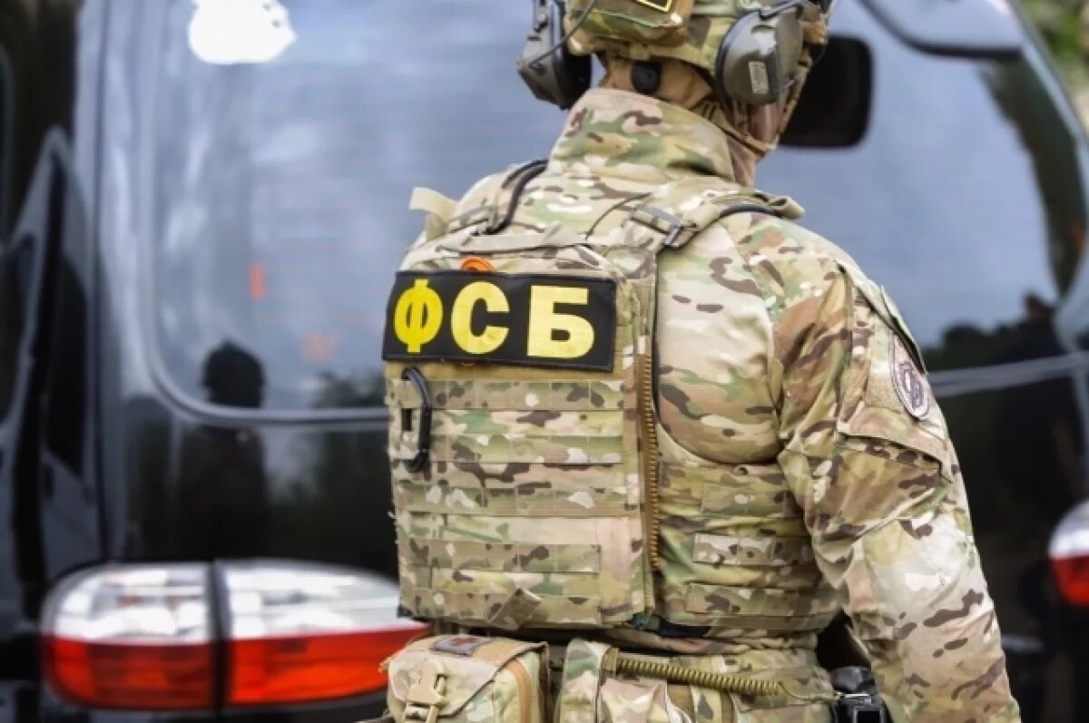    ФСБ задержала в Белгородской области агента украинской разведки