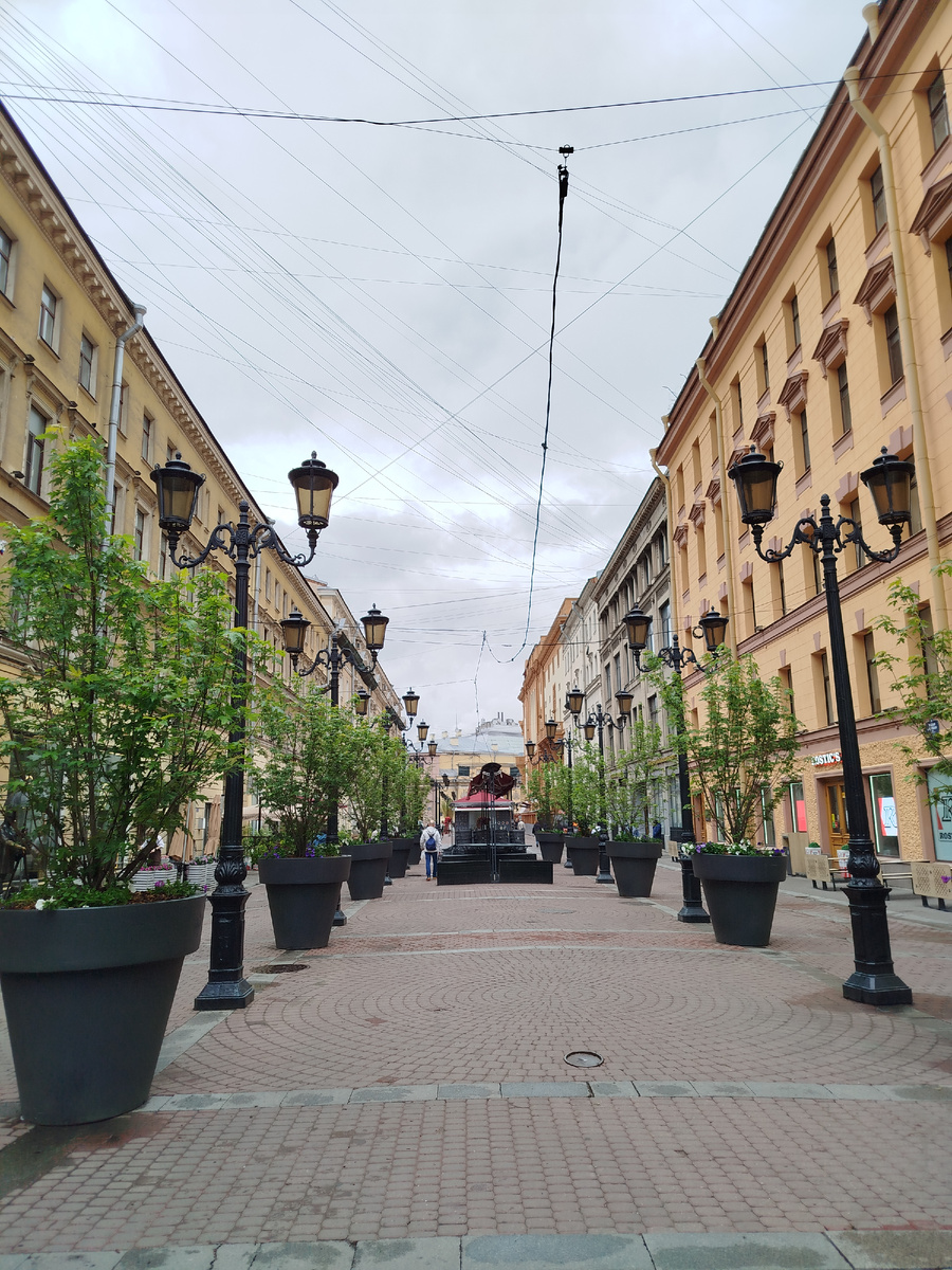 Фото автора.