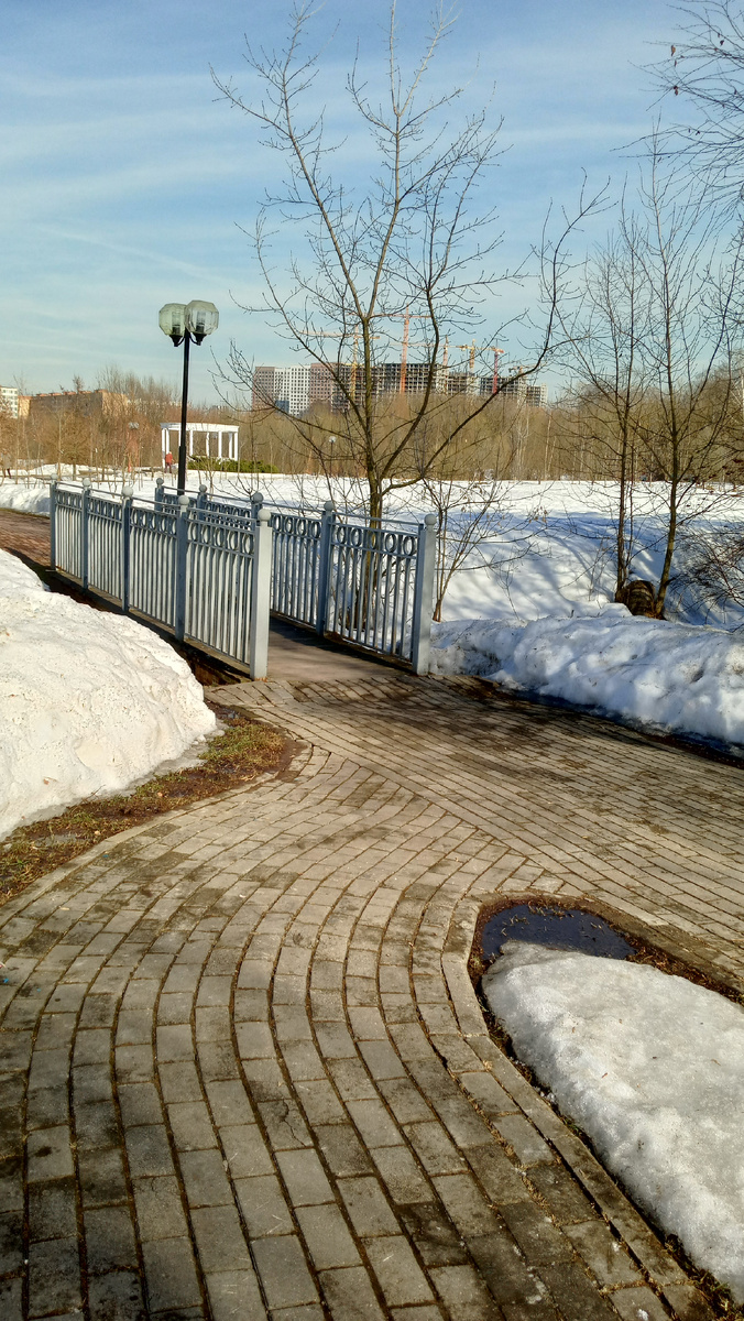 Фото автора.