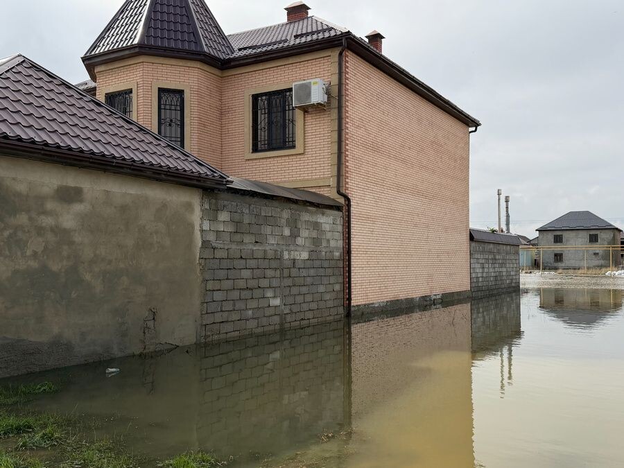     / Источник: © Гянжеви Гаджибалаев/ТАСС