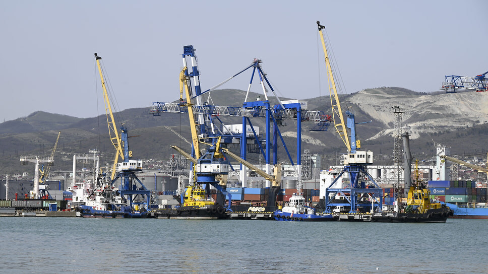 Фото: пресс-служба МО город-герой Новороссийска