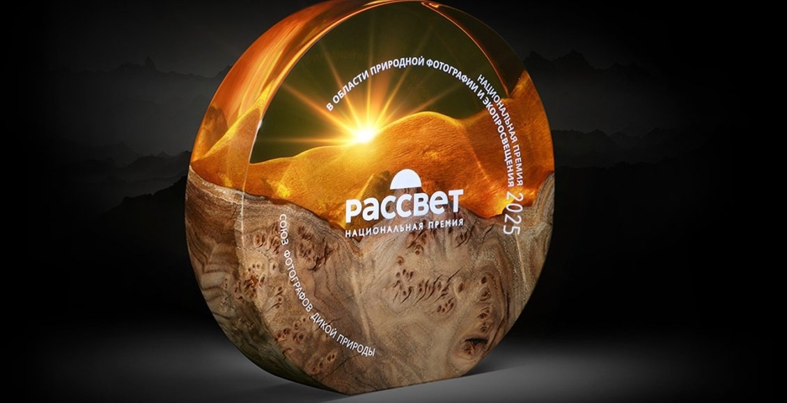    Изображение: rassvetaward.ru