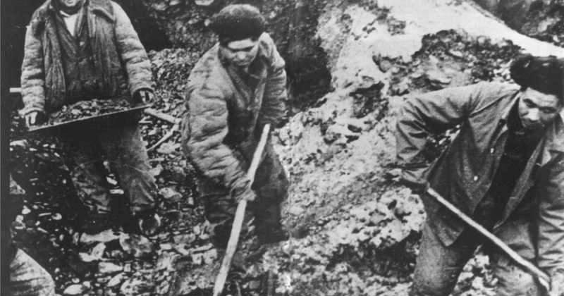 Фото с сайта https://www.kolyma.ru/