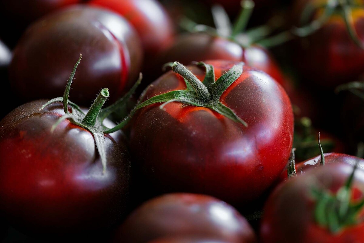  © Engin Akyurt, Pexels.com