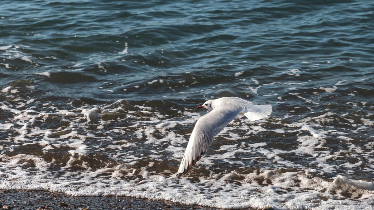    Фото: vit-vit/Shutterstock/Fotodom