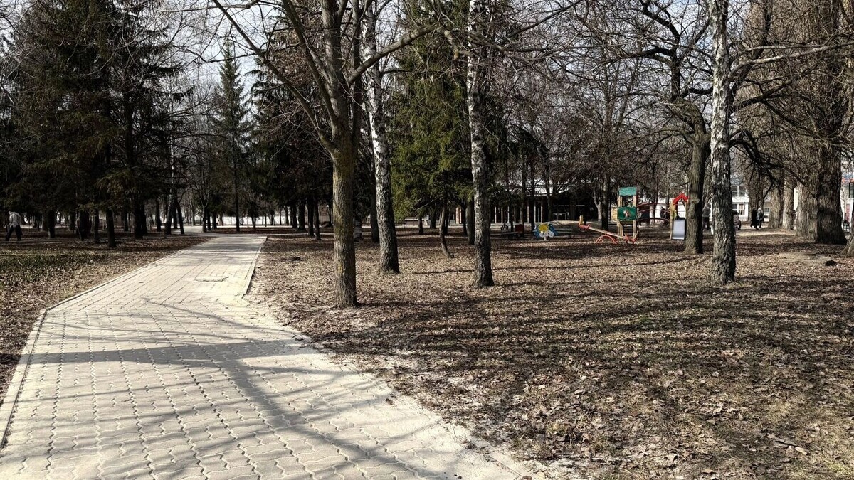     Автор: Анастасия Богдан Источник: bel.ru