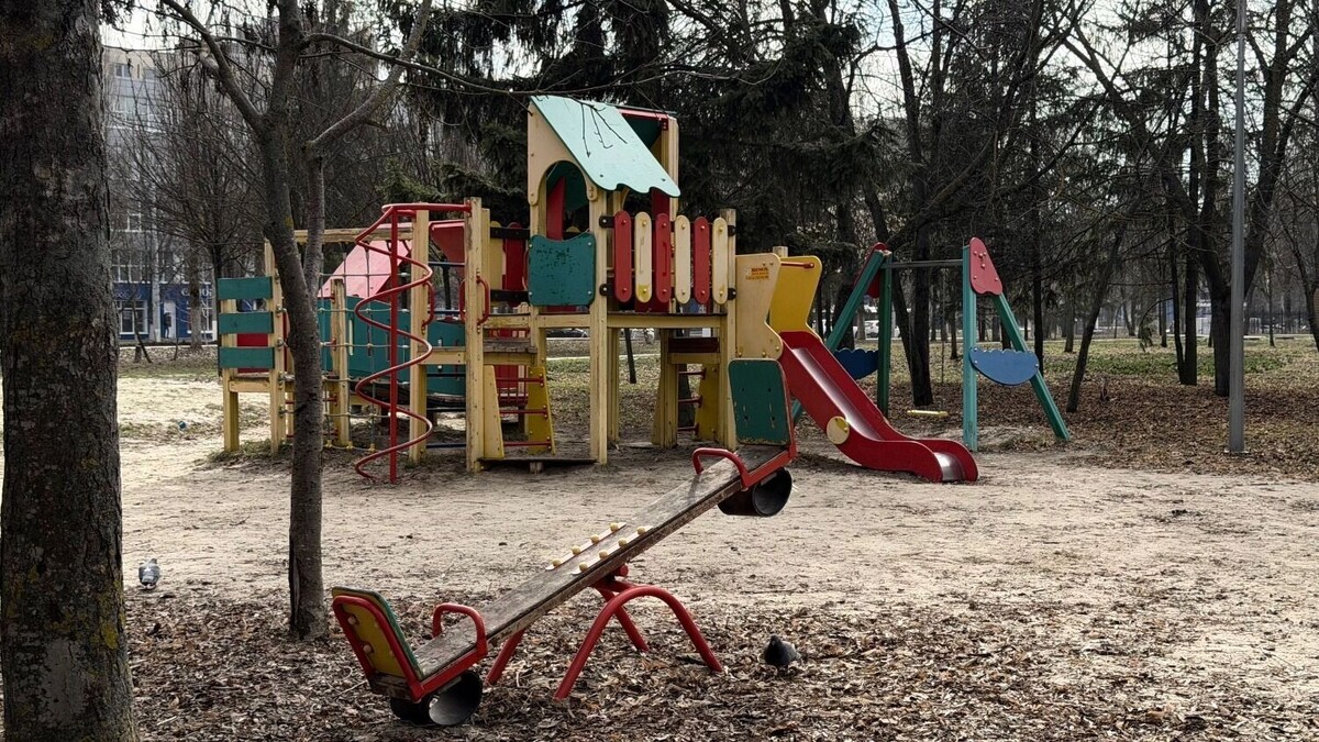     Автор: Анастасия Богдан Источник: bel.ru