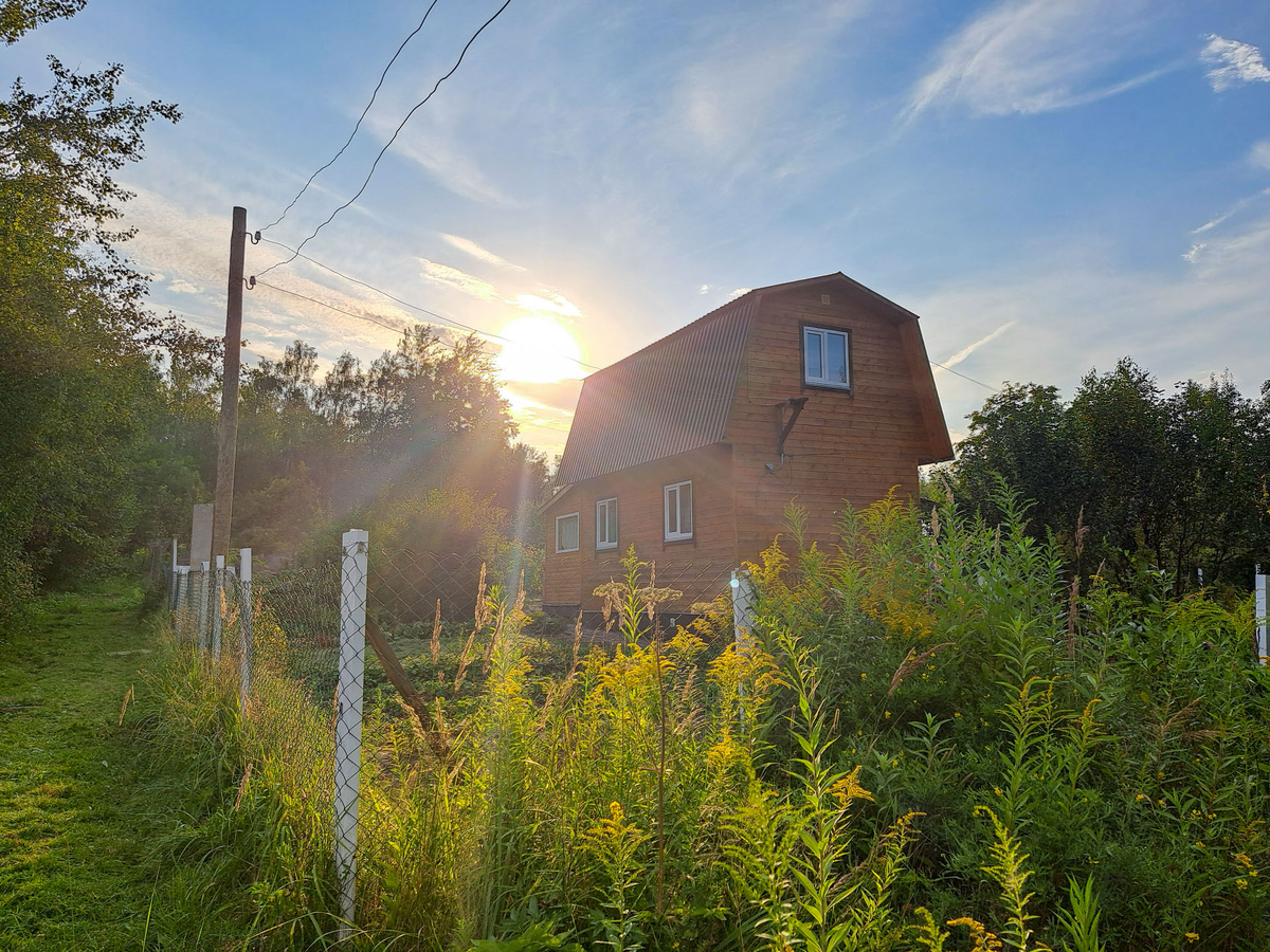 Нарушителям грозит штраф и наказание вплоть до лишения свободы.  Фото: ФедералПресс / Вера Романескул