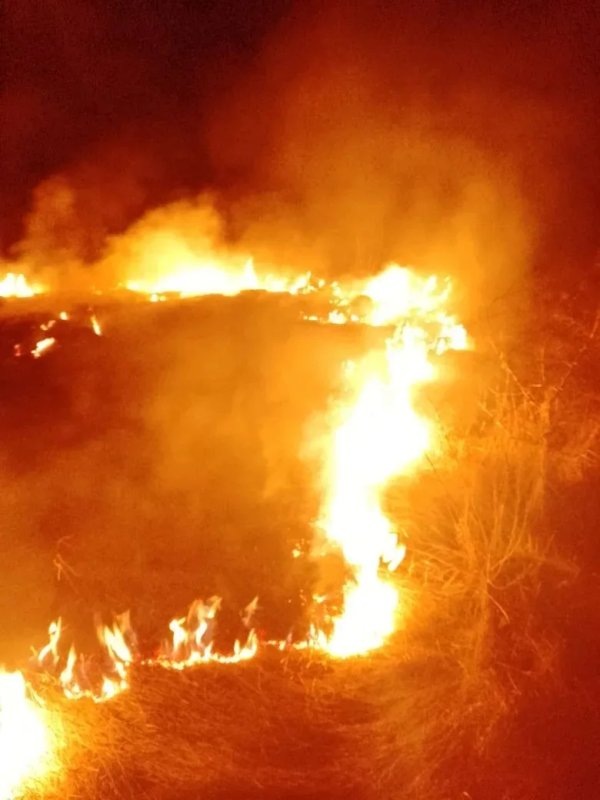     © фото - Противопожарная служба Курской области