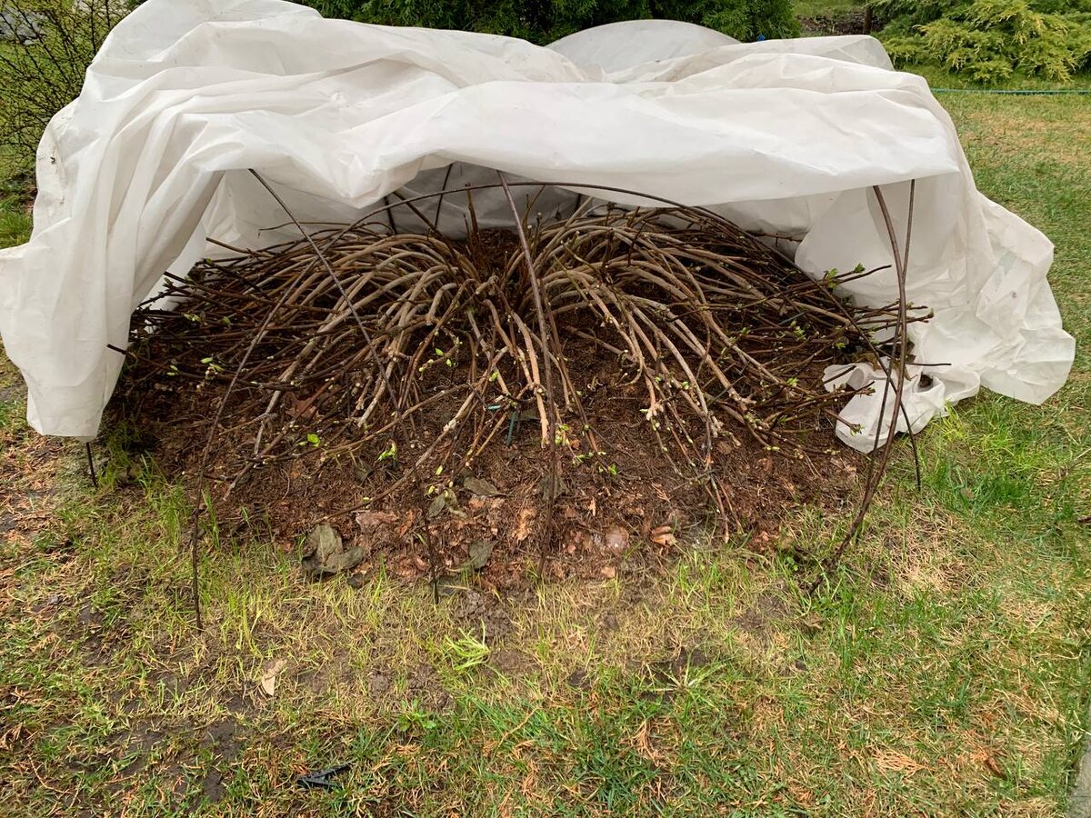 � ���� ���� ��� ���������� ���� ��������� � �� ������������ �������, � ������� ��������. ���� ������  