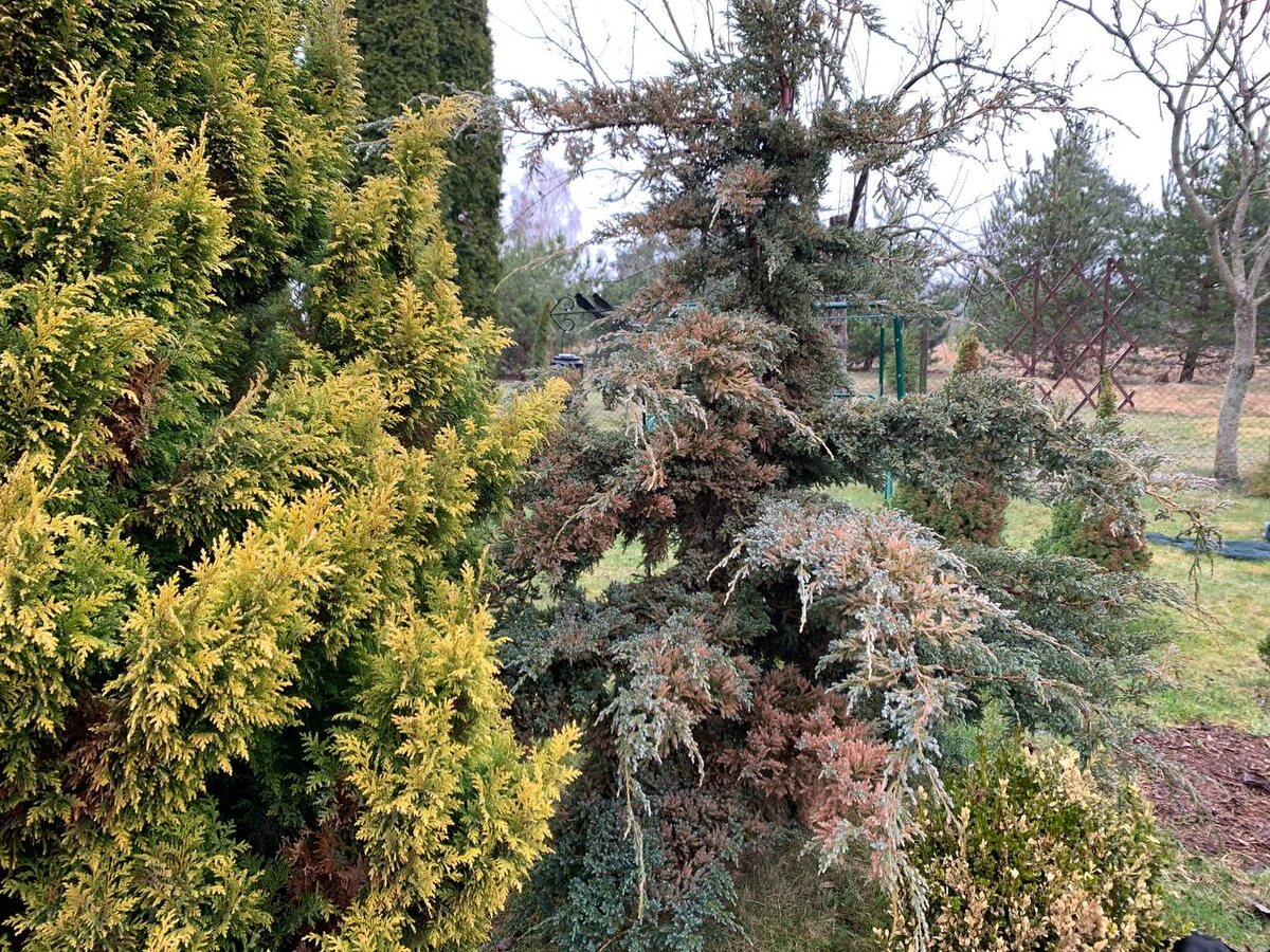 ������� ��������� ������� � �� ��������, � ���� �������� ��������. ����� �� �������� � ������� �����. ���� ������ 