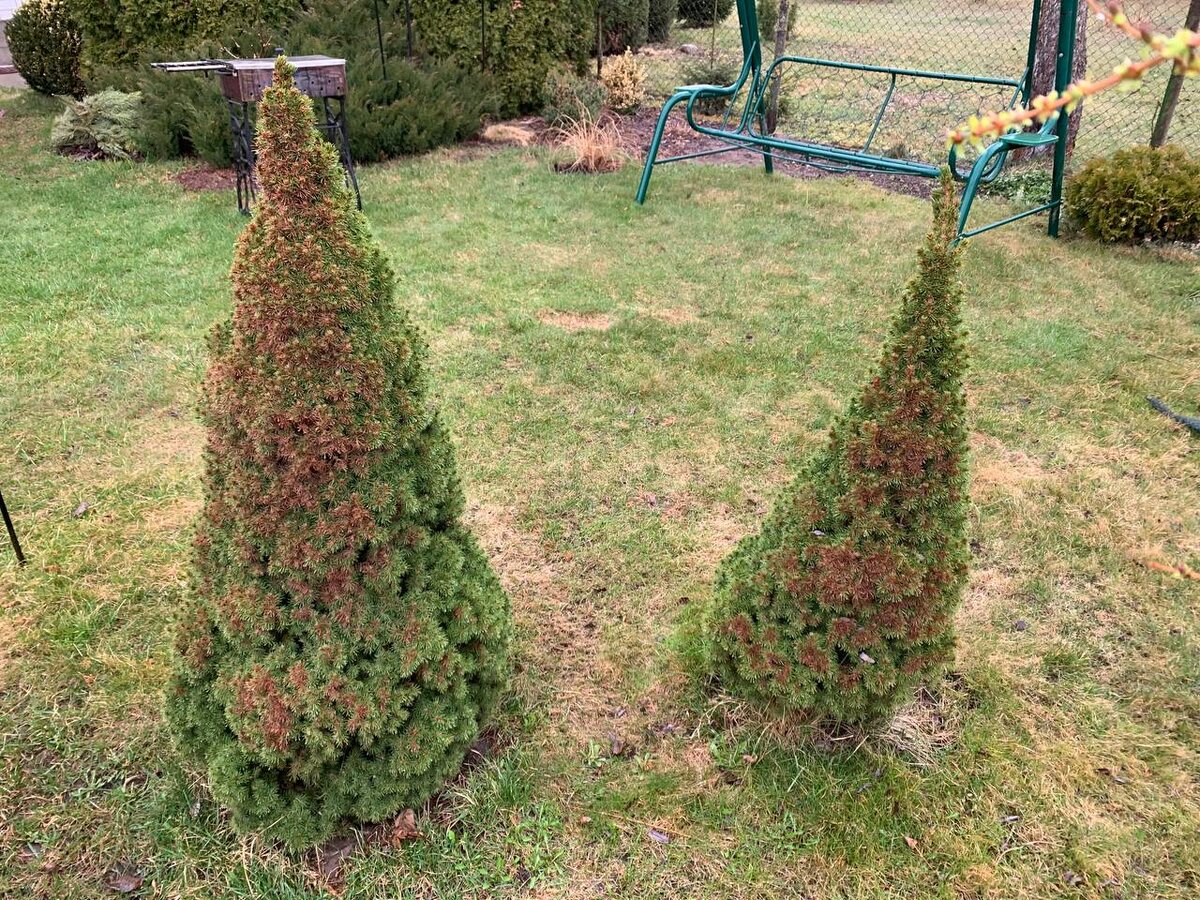 ������ �������� �� ������ � ����� � ���� ���� ��������� �� ������� �������. � ���� ����� �������. ���� ������ 