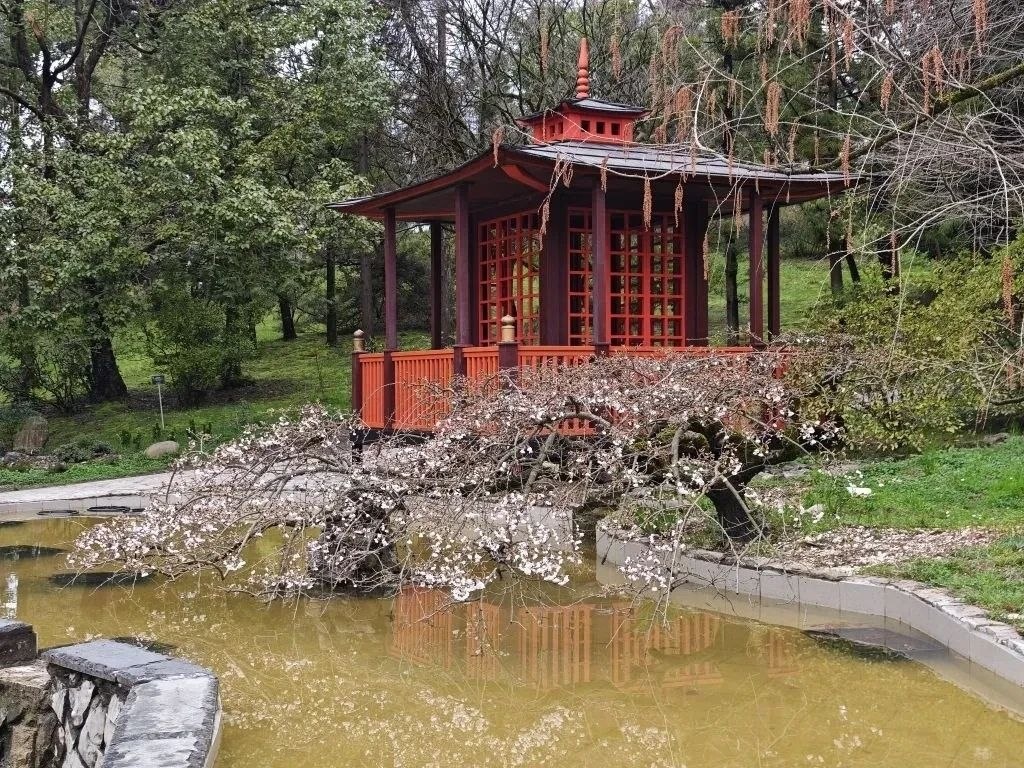    Фото: Telegram/Сочи Официальный