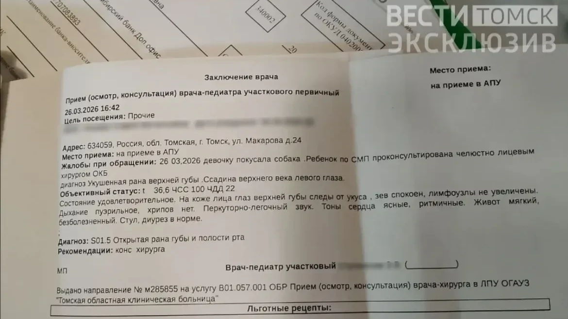    Фото: предоставлено "Вестям-Томск" Светланой