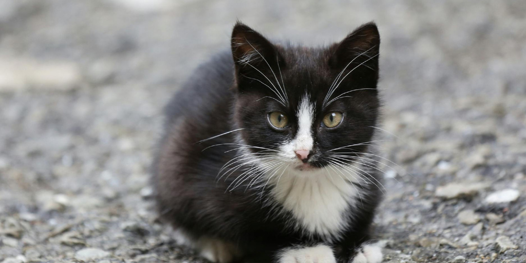 Это просто совпадение