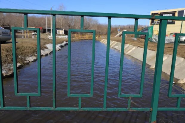     Голубой Дунай. Противопаводковые мероприятия. Река. Весна. Талые воды..Сергей Кулыгин "БР"