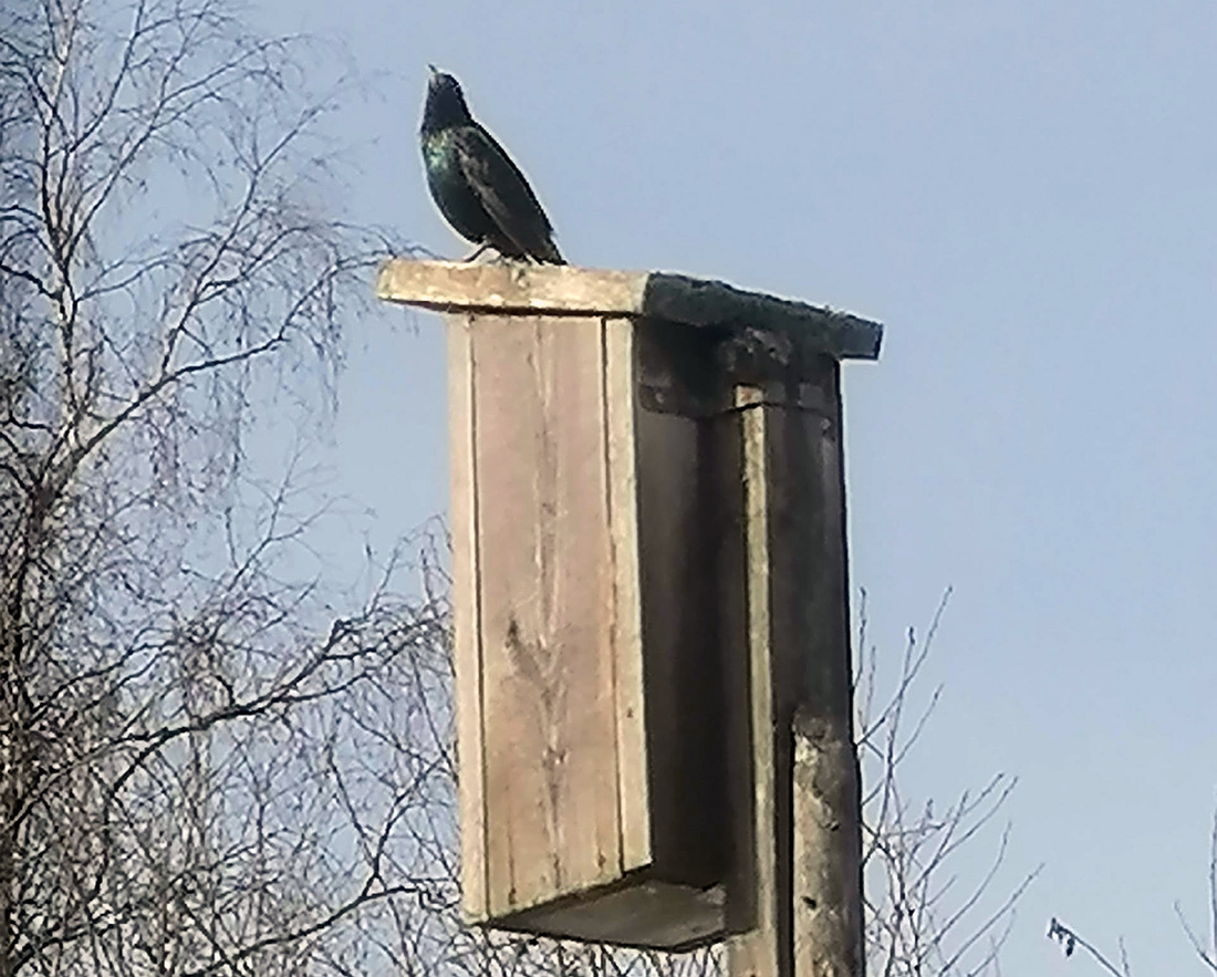    31 марта, деревня Васюкова, Кудымкарский МО. Фото: Ирина Яркова