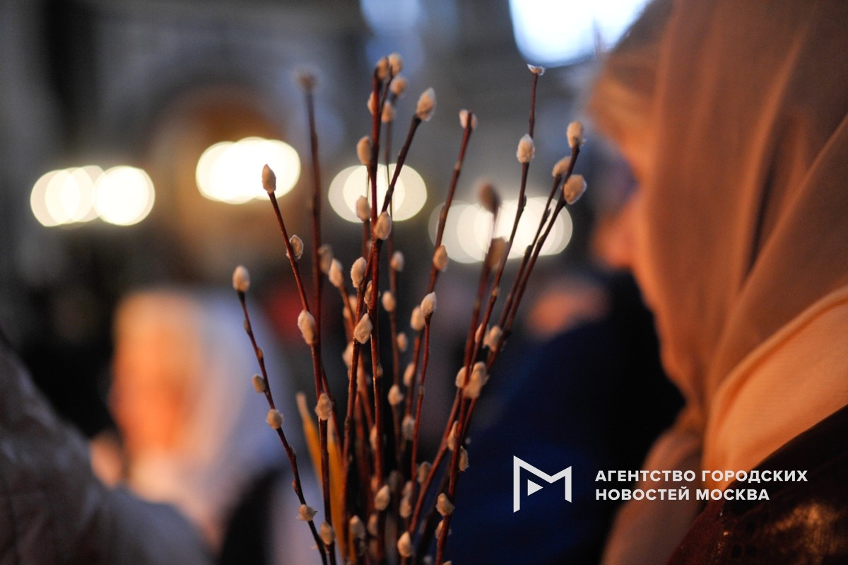 Фотограф: Александр Авилов