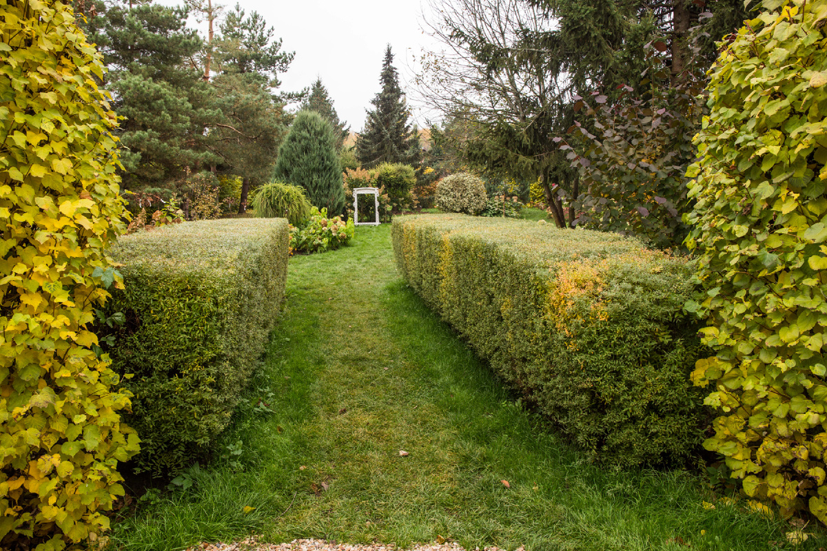 Дендросад в "Питомнике Савватеевых". Осень