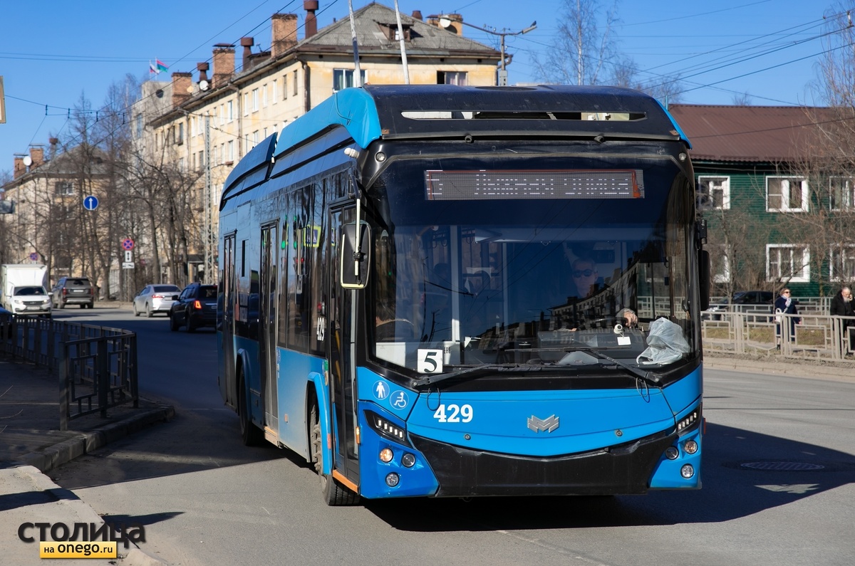    фото: © Людмила Корвякова/Столица на Онего