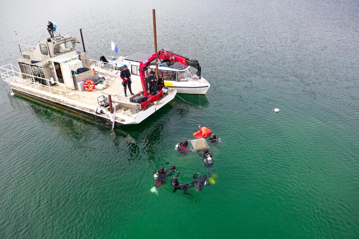 Швейцарские археологи достали ценный груз со дна озера. Фото из интернета 