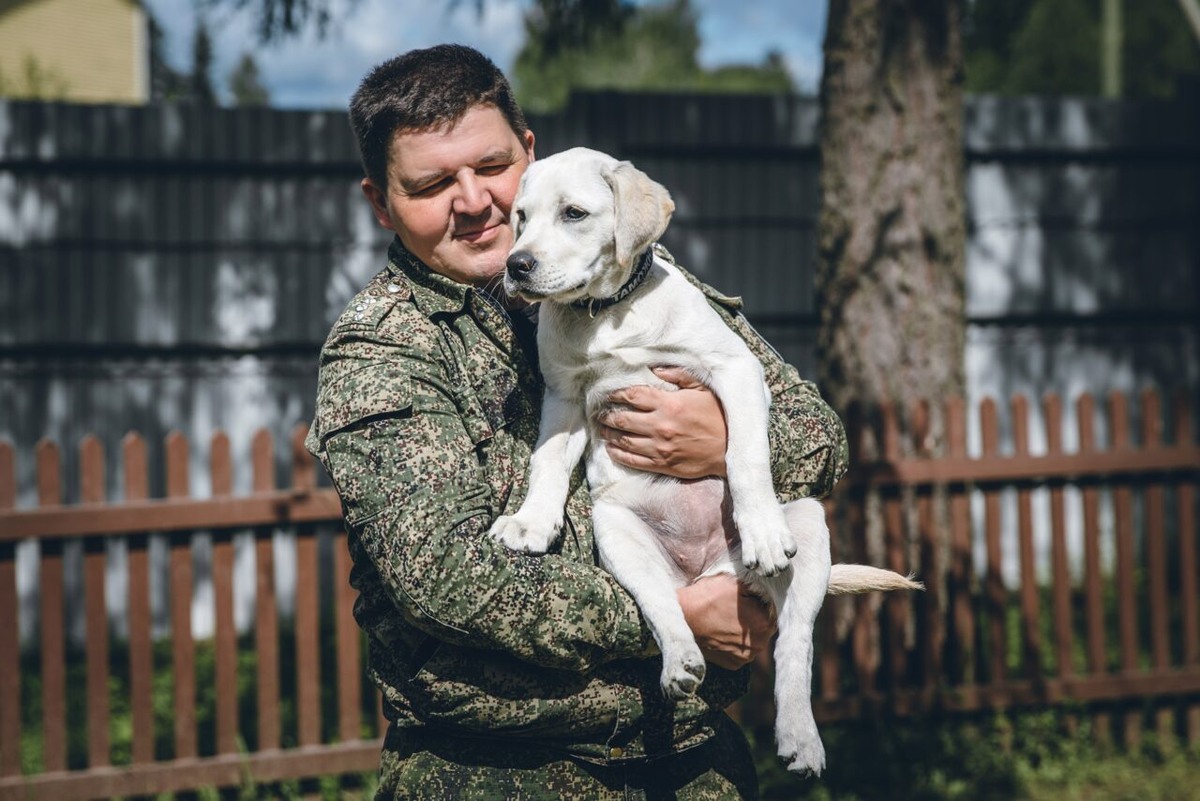    Лабрадор-ретривер Зара. Фото: Северо-Западное таможенное управление
