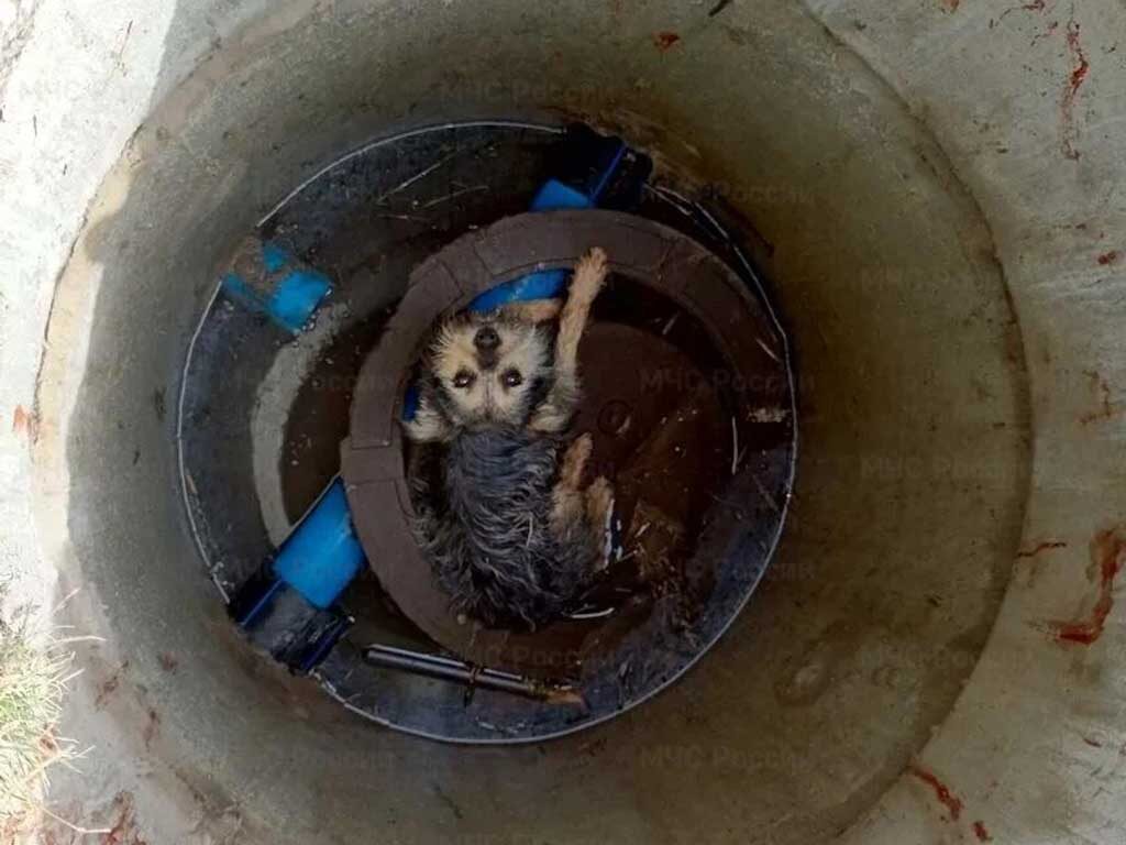     Фото: пресс-служба ГУ МЧС по Белгородской области