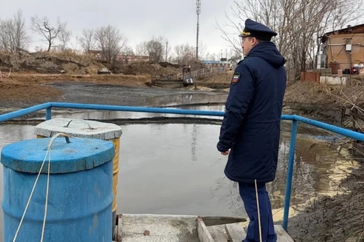    В Хабаровске проверяют сброс нефтепродуктов в Амур