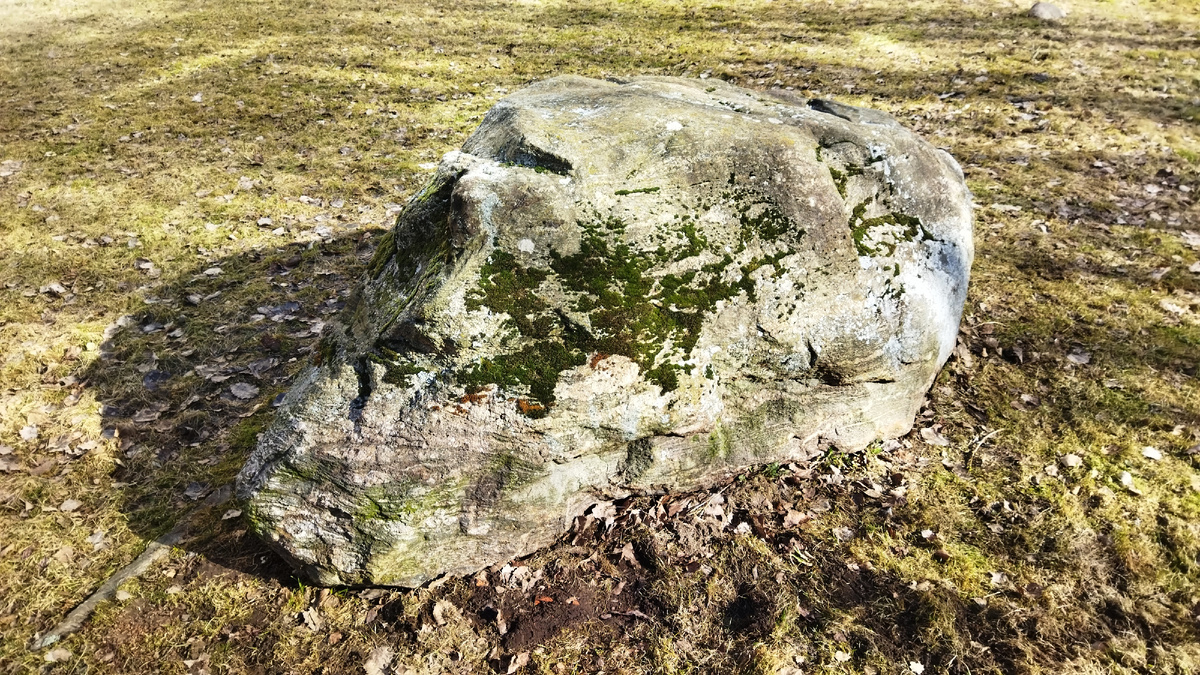 Фотопортрет валуна, на мой взгляд, очень похожего на ужас. Или на череп исторического животного. Умершего от ужаса.