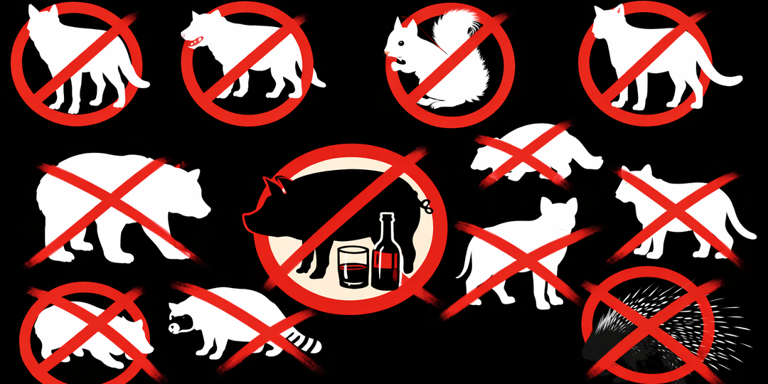 Какие продукты считаются харамом в Исламе