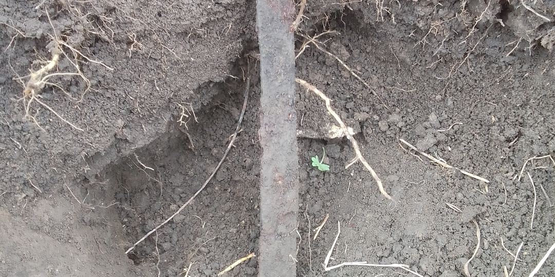 Трофеи из холма. День второй