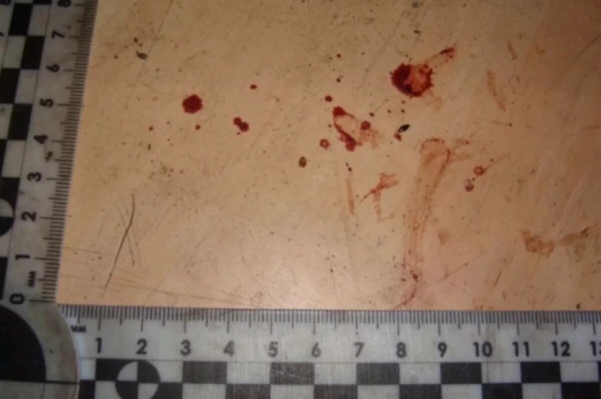    Жительница Людиново предстанет перед судом за убийство сожителя