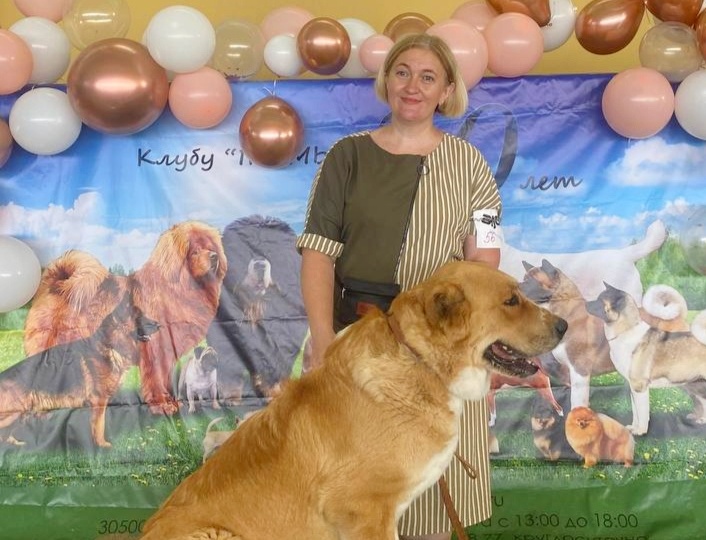 На что судьи обращают внимание на выставках собак