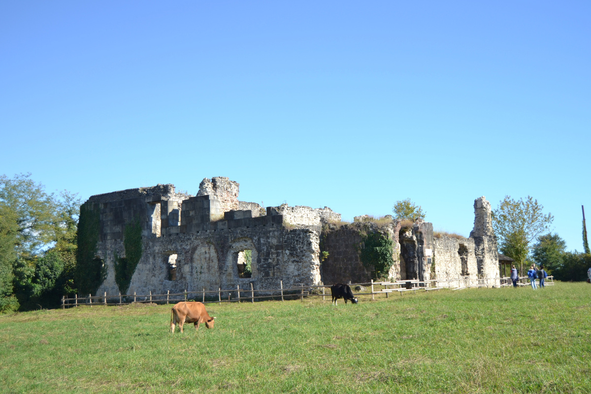 Абхазия. Дворец князей Чачба-Шервашидзе в Лыхны