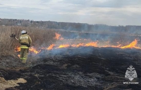    Фото: vk.com/gu_mchs_orel