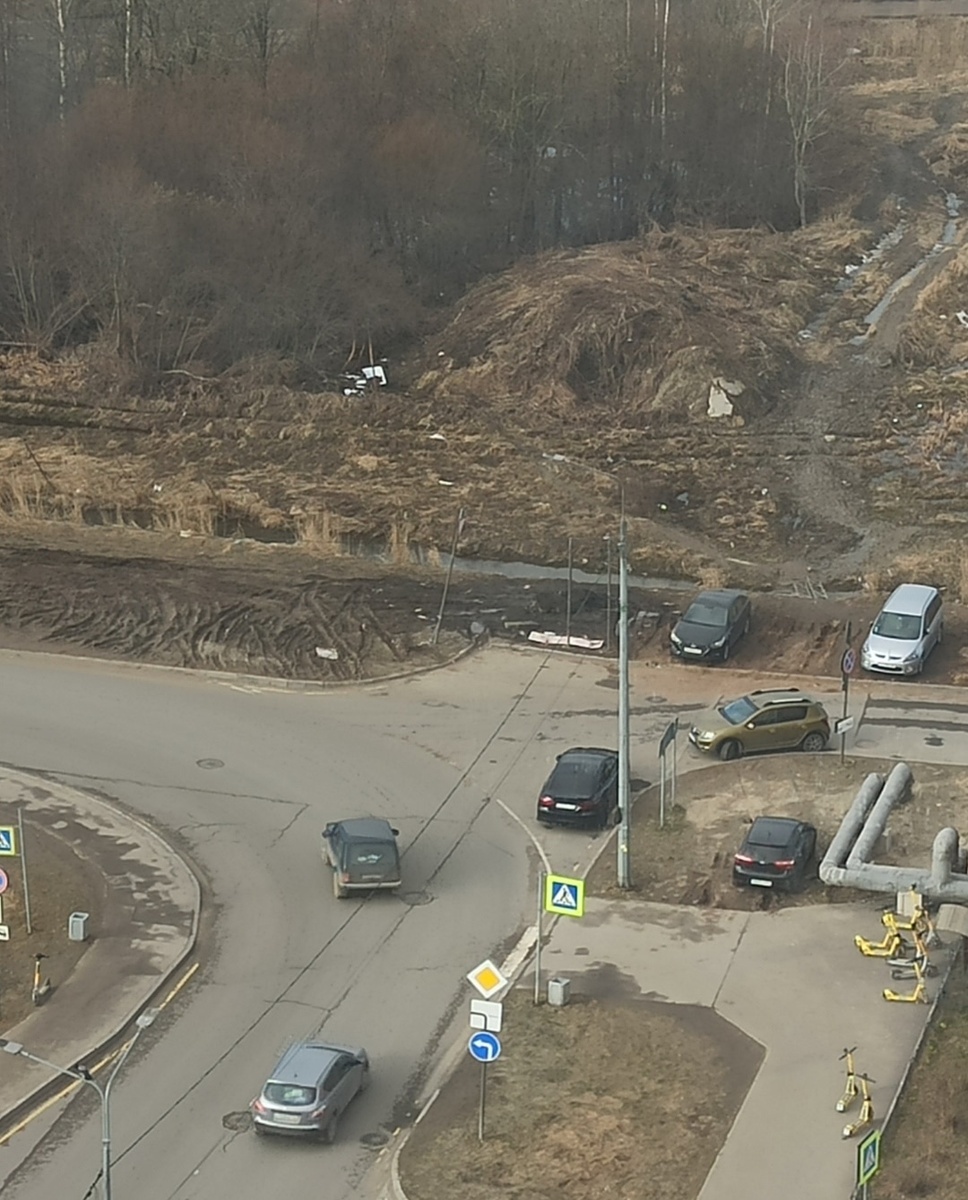 Газоны разбиты