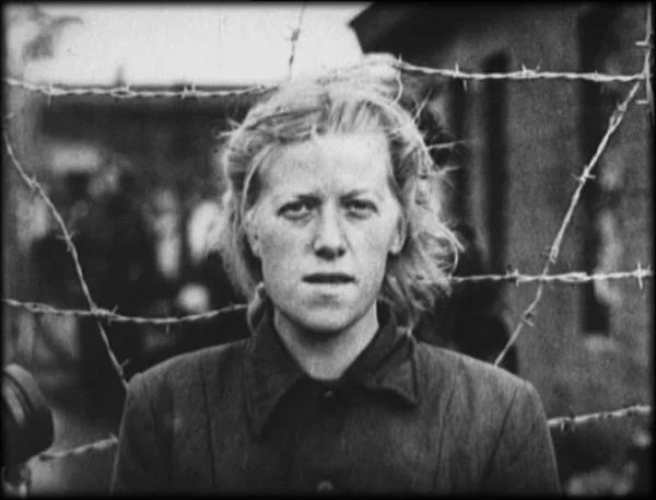 Фото из свободных источников.