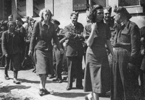 Фото из свободных источников.