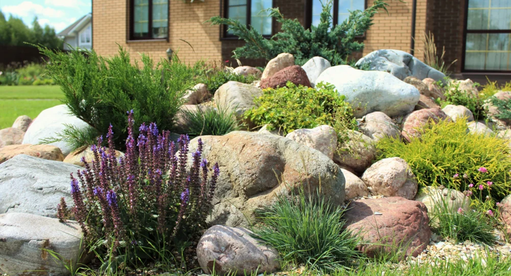 Альпийская горка в саду: красота без границ — создаём горный пейзаж на любом участке