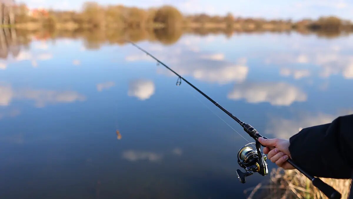    Источник: vm.ru/ Евгения Суворова