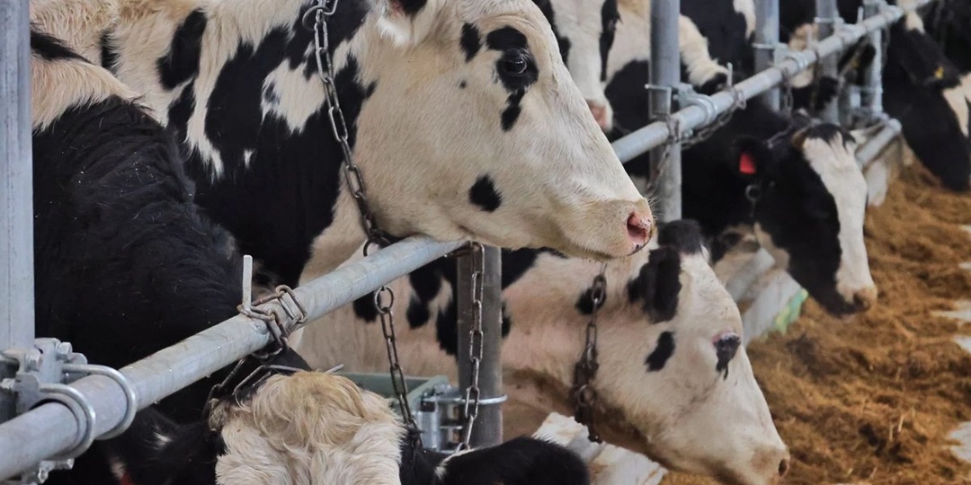 Агрохолдинг пермского миллиардера получил рекордную прибыль