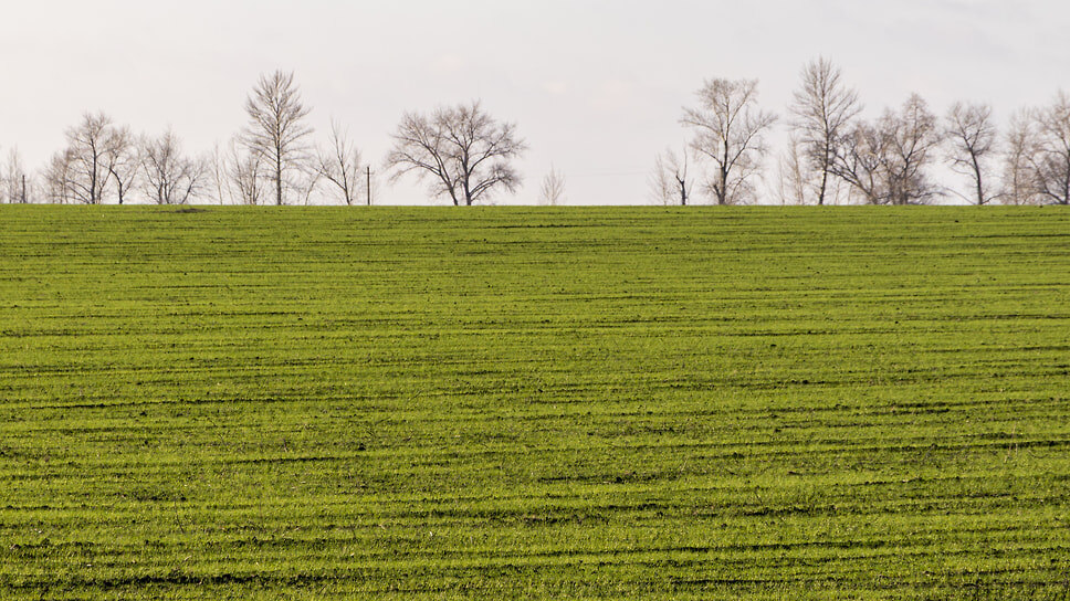 Фото: Егор Снетков / Коммерсантъ