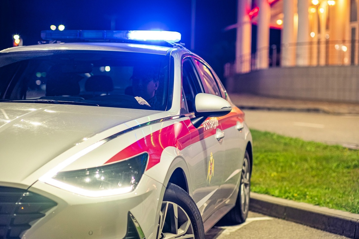    Фото: Telegram/Росгвардия Краснодарский край