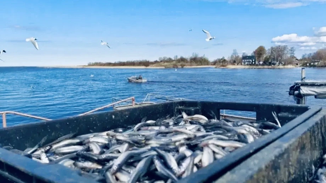 Фото: https://max.ru/drozdenko_au_lo/AZ1DCabGOvE