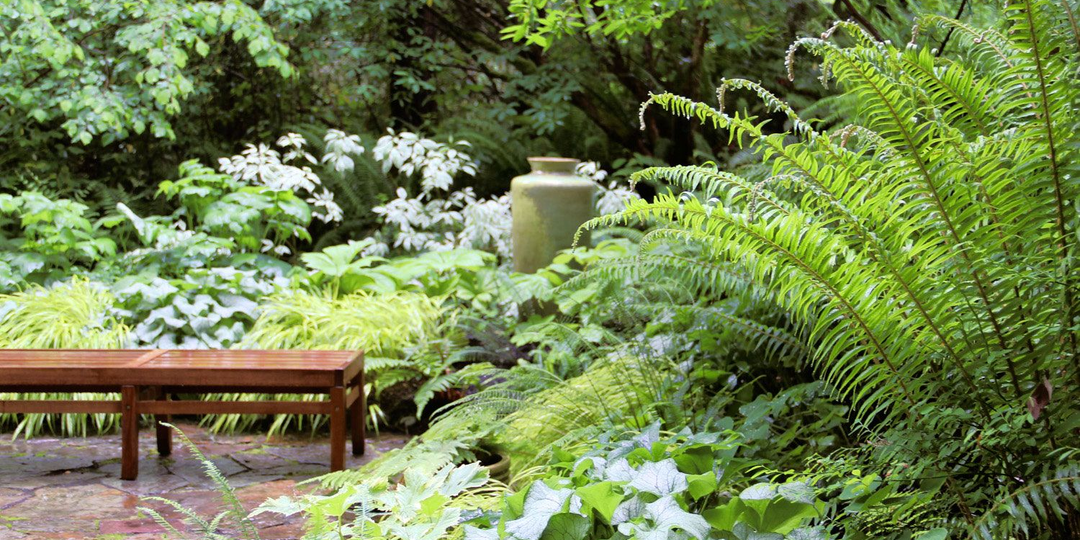 Декоративные растения в саду: как создать красоту и стиль с помощью листвы, форм и текстур